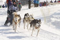 Lenk 2012 SM
